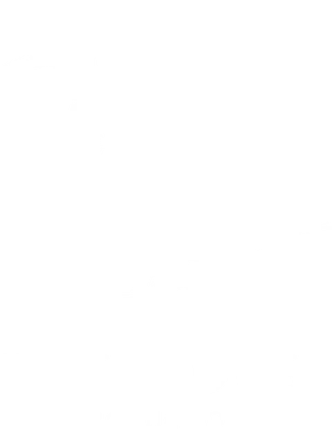 Duckhouse Productions - Logo